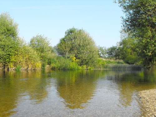 Swept away but saved - 2